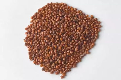 海外熱銷，泰州三農產品基地榮膺省級示范，這些特產你嘗過嗎？